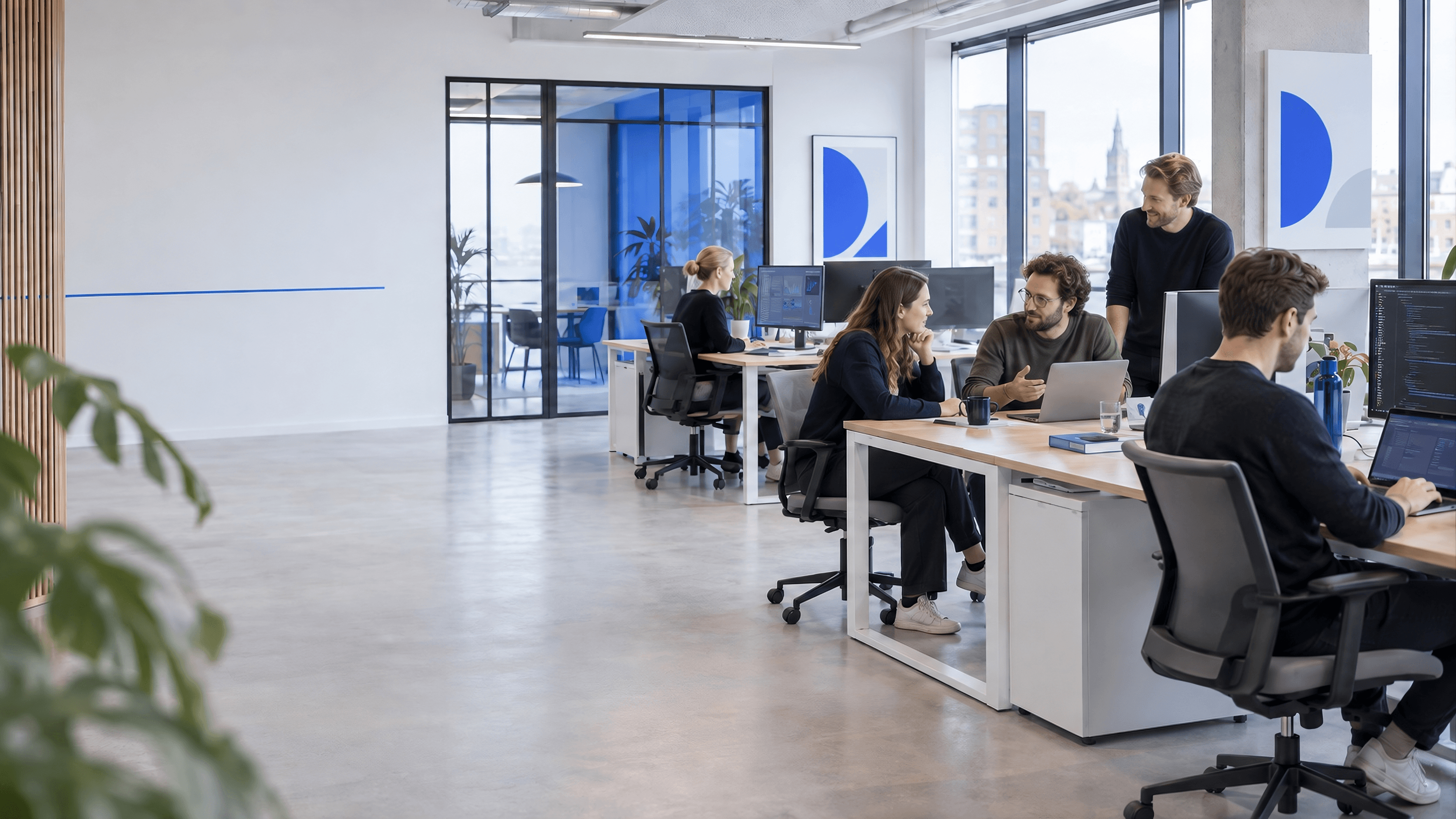wizedo office